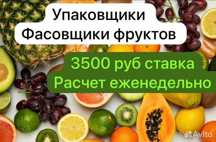 Упаковщик-Фасовщик фруктов Еженедельный расчет