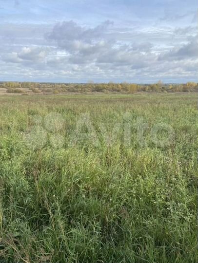 Участок 3 га (ИЖС)