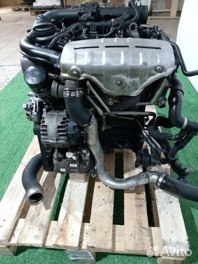 Двигатель Volkswagen Tiguan cava