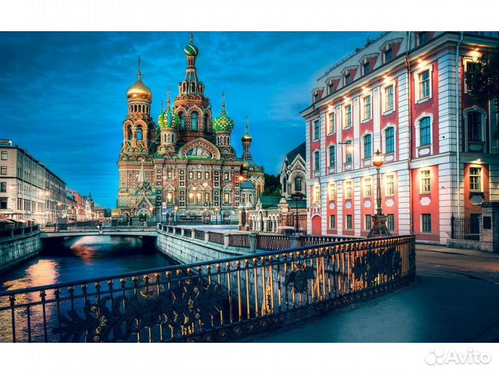 Школьный тур в Санкт-Петербург (для школьников)