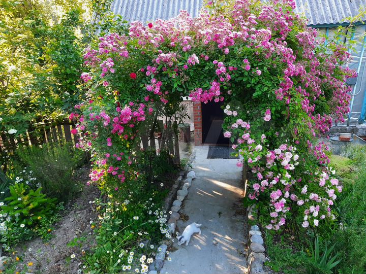 Дом 63 м² на участке 15 сот.