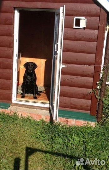 Гостиница для животных