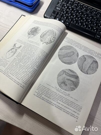 Учебник ортопедической стоматологии 1958