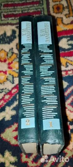 Е. И. Замятин