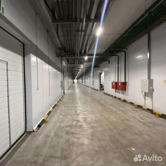 Складские услуги и хранение в морозильном складе