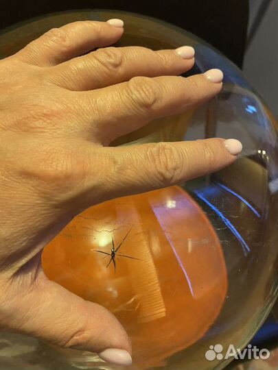 Аквариум СССР