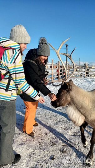Тур в Териберку, экскурсия на край земли