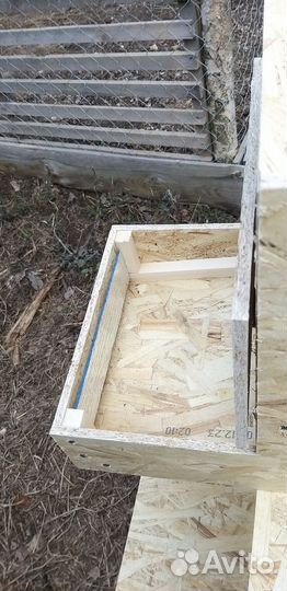 Гнездо для кур с яйцесборником