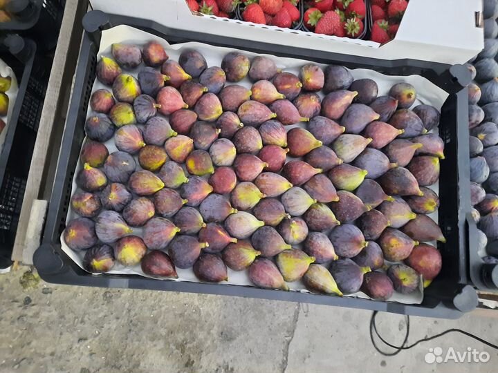 Фрукты овощи экзотика