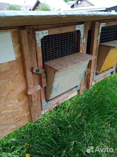 Клетки для кролика