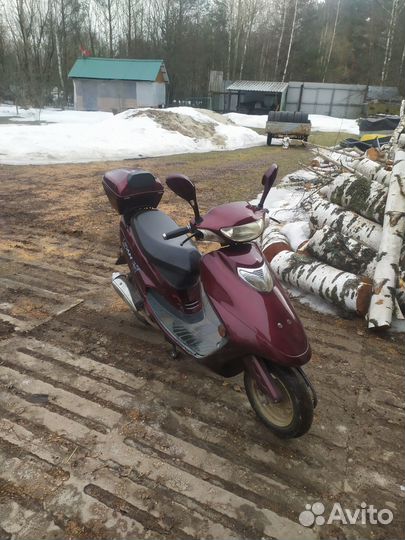Скуте 50 кубов