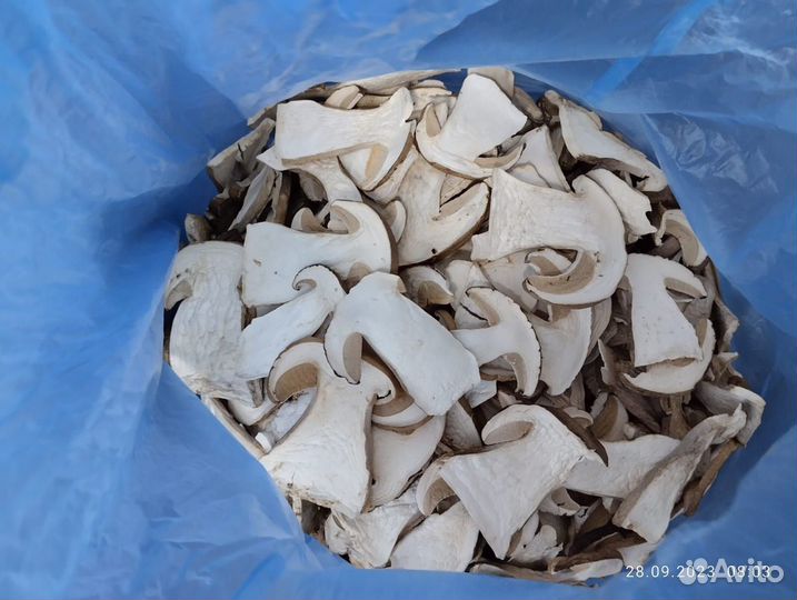 Грибы белые сушеные
