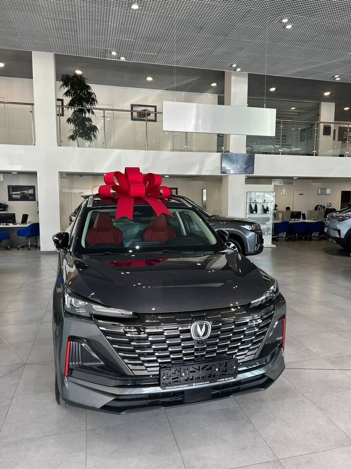 Changan CS55 Plus: фото владельца