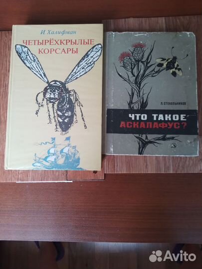 Альбом живописи, по искусству, про театр