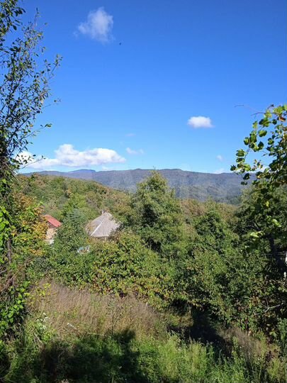 Участок 21 сот. (ИЖС)