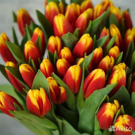 Букет из тюльпанов