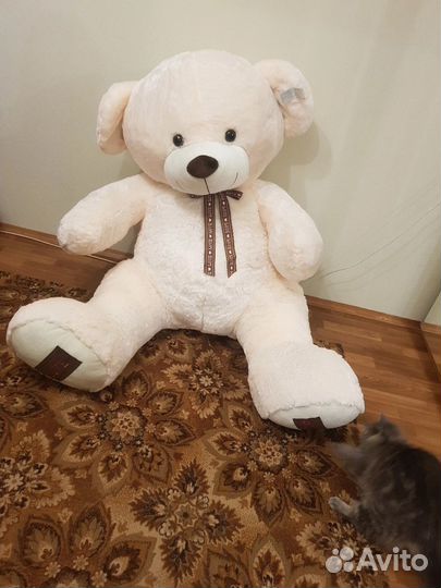 Плюшевый медведь