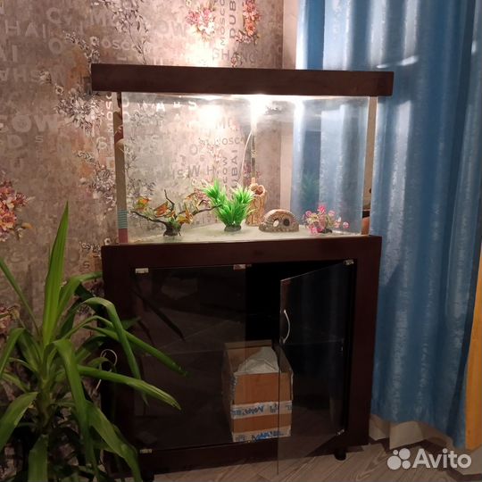 Аквариум угловой с тумбой