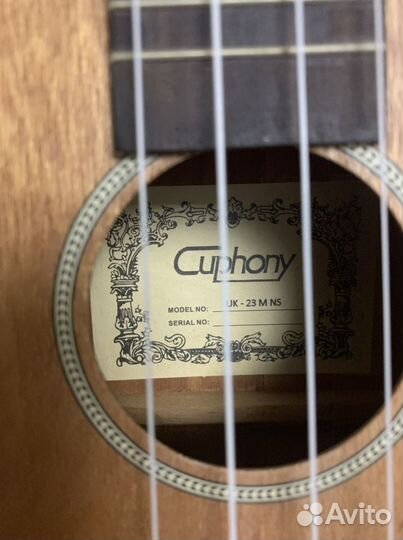 Укулеле концерт