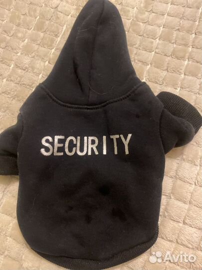 Одежда для маленьких собак xs