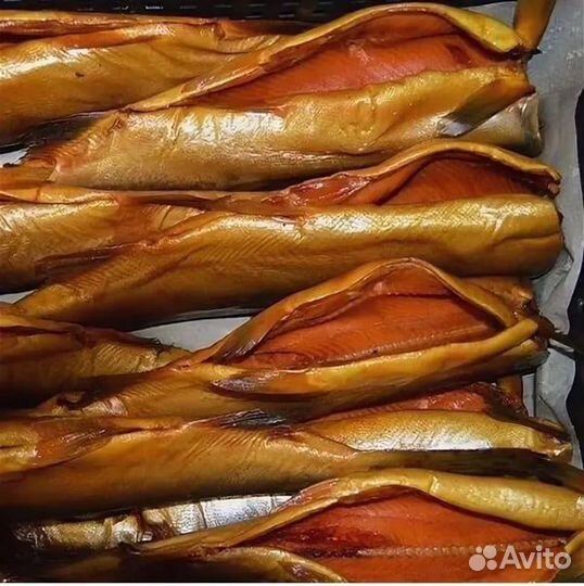 Копченая рыба
