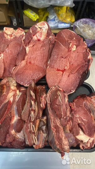 Мясо говядина