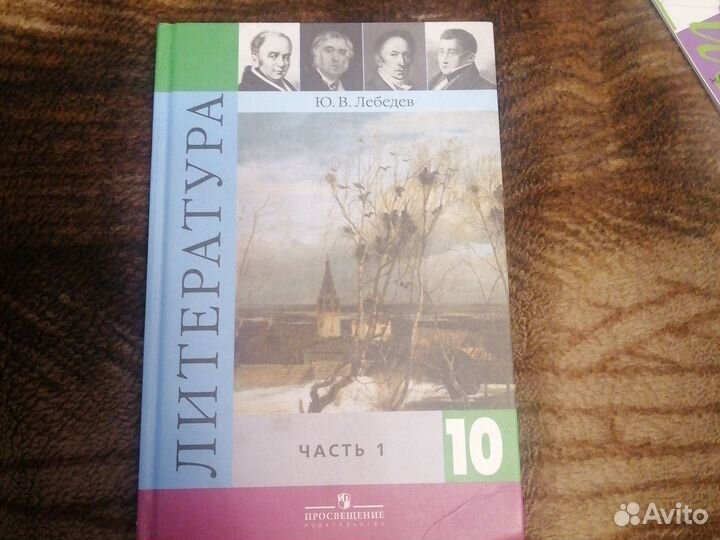 Книга по литературе 10 класс часть 1