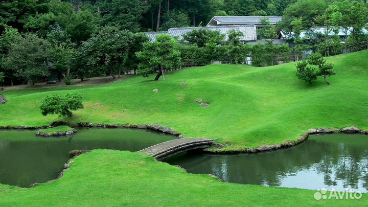 Растения для озеленения территории рядом с искусст