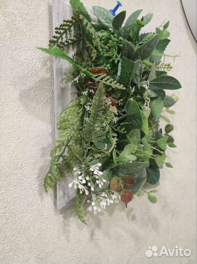 Декор. Картины из зелени. Комплект из 4-х шт