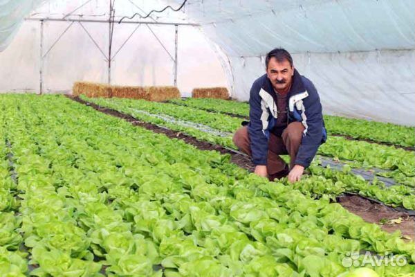 Разнорабочий