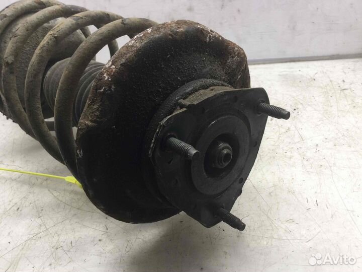 Стойка передняя левая Ford Focus hwdb