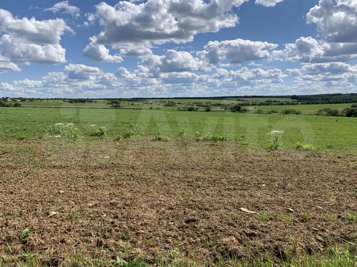 Участок 1,5 га (СНТ, ДНП)