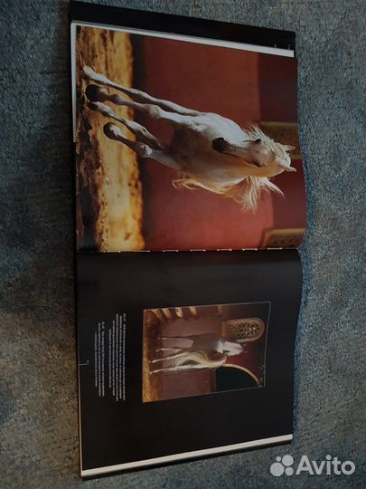 Книги про лошадей и конный спорт