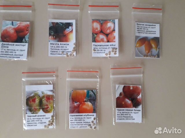 Семечки помидора. Помидоры сорт сакура. Продать семена томатов. Томат ред пэар. Продать семена томатов.