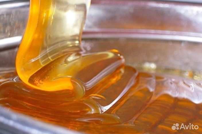 Мёд натуральный Алтайский опт min 16kg