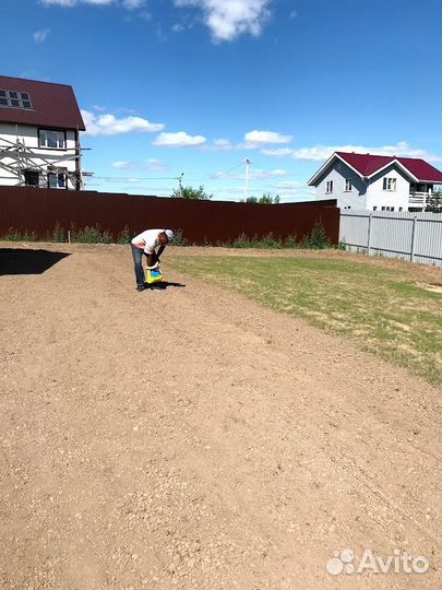 Посевной газон. Озеленение участка