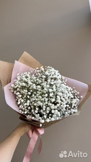 Гипсофила Букет Цветы Анапа