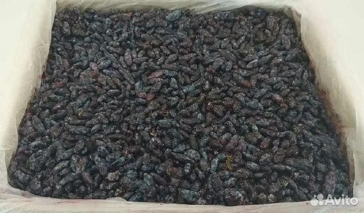 Жимолость замороженная коробка