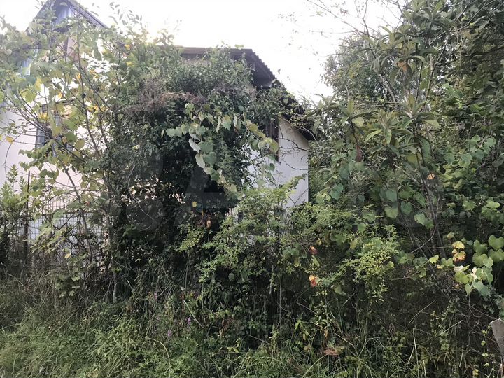 Участок 5,5 сот. (СНТ, ДНП)