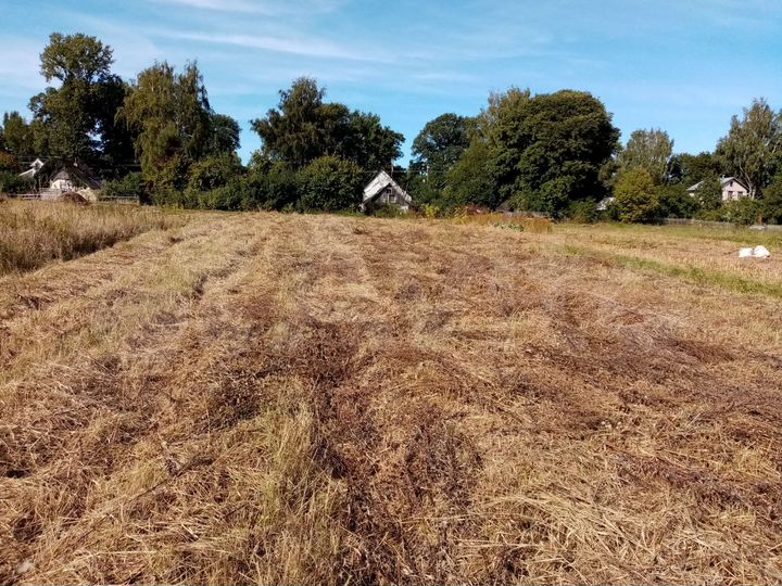 Участок 20 сот. (ИЖС)