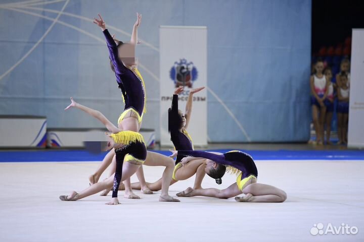 Групповые купальники для художественной гимнастики