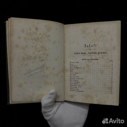 Антикварная книга 19 века, 1880 год, немецкий