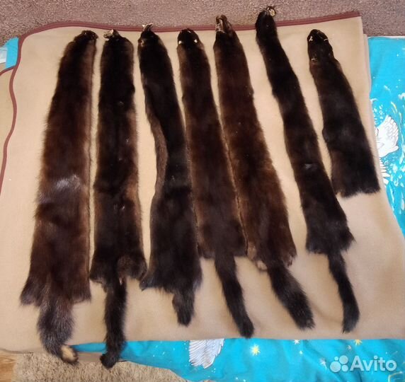 Мех, Шкуры норки