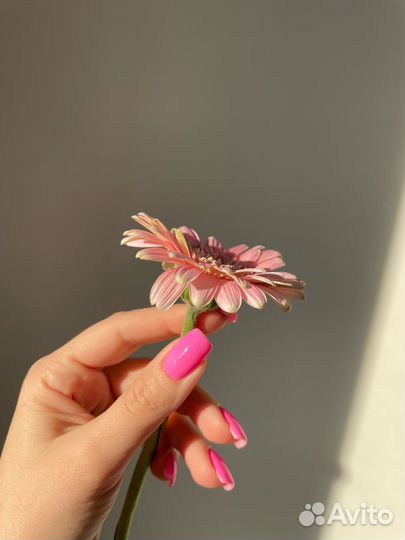 Маникюр с покрытием, педикюр, наращивание ногтей