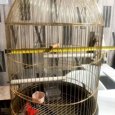 Клетка для попугая большая