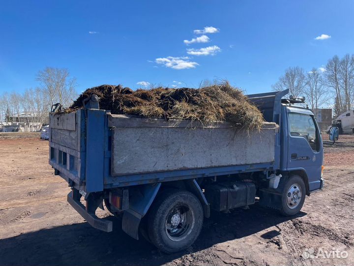 Перегной навоз