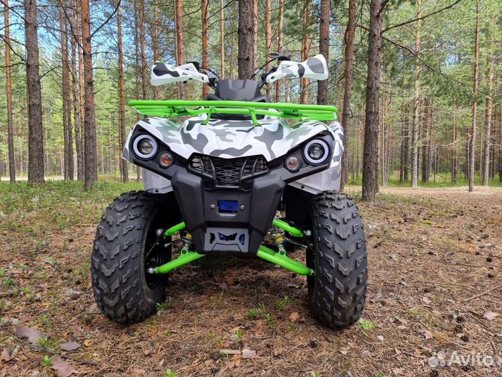 Квадроцикл promax forest hunter 300