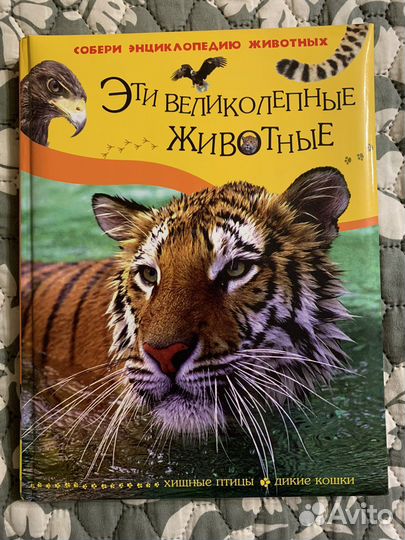 Энциклопедия животных