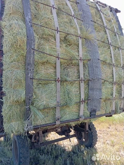 Сено в квадратных тюках