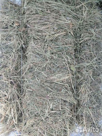 Сено в брикетах и рулонах